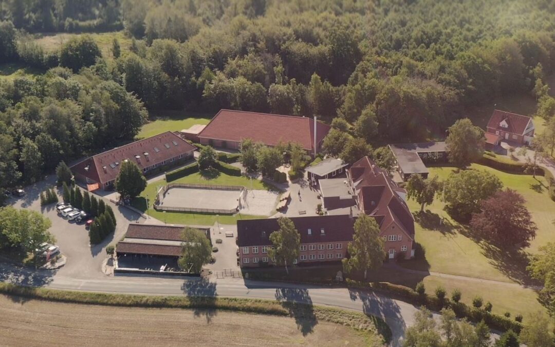 Dansklærer søges